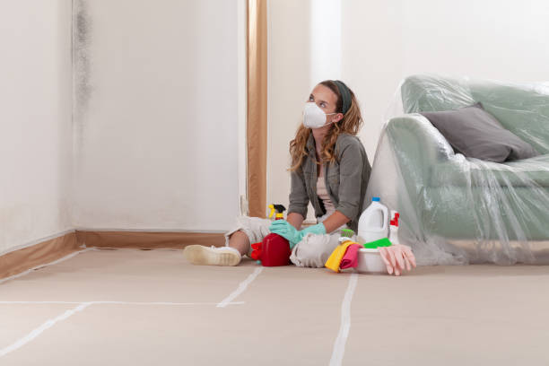 Reliable Commercial Mold Remediation contractor in Swampscott, MA by WQB Mold Removal